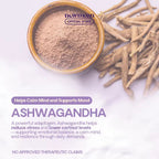 Newmoon - Nighty Bright Ashwagandha + Collagen Food Supplement 60caps