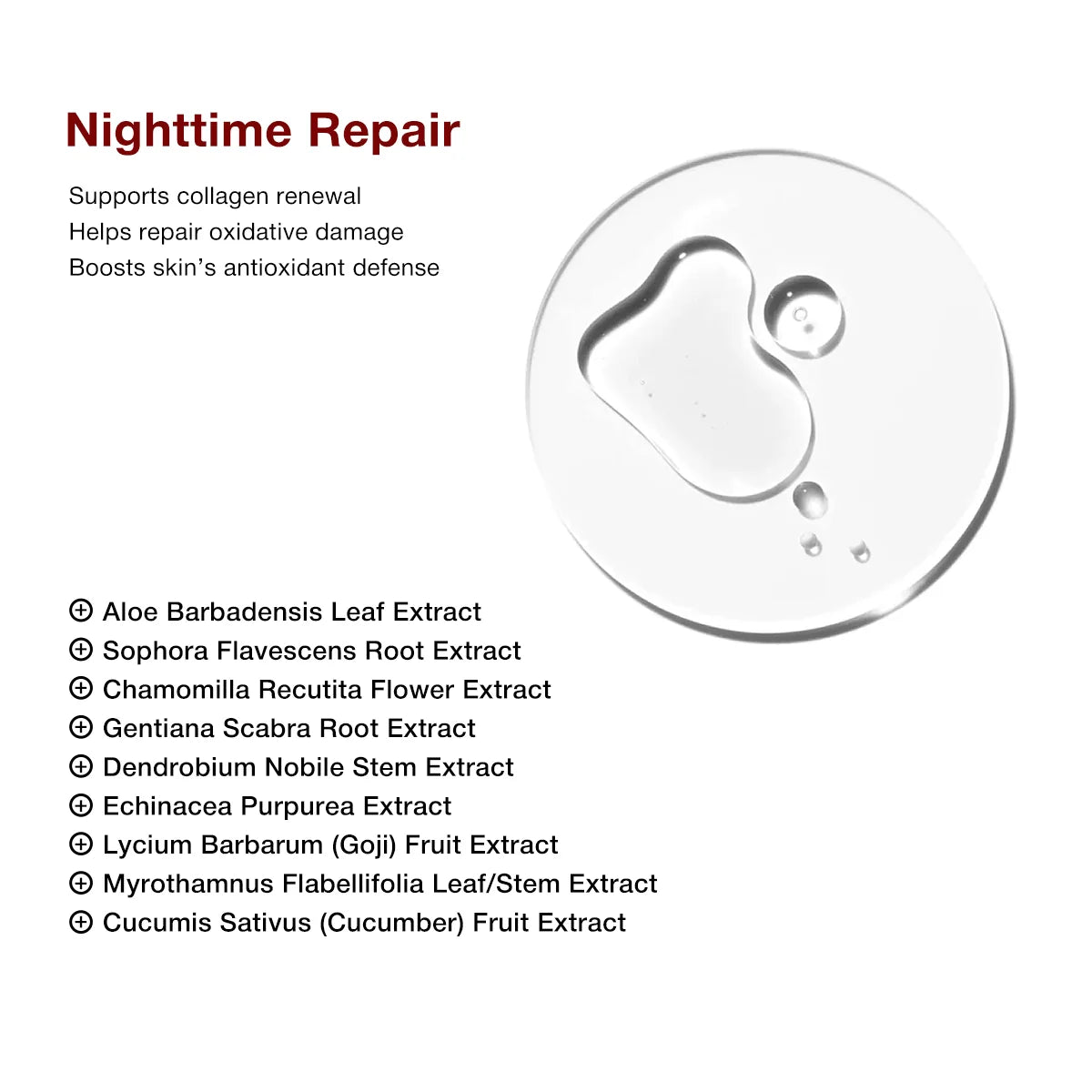 TeaShell Niacinamide Brightening Serum 5% – 30ml
