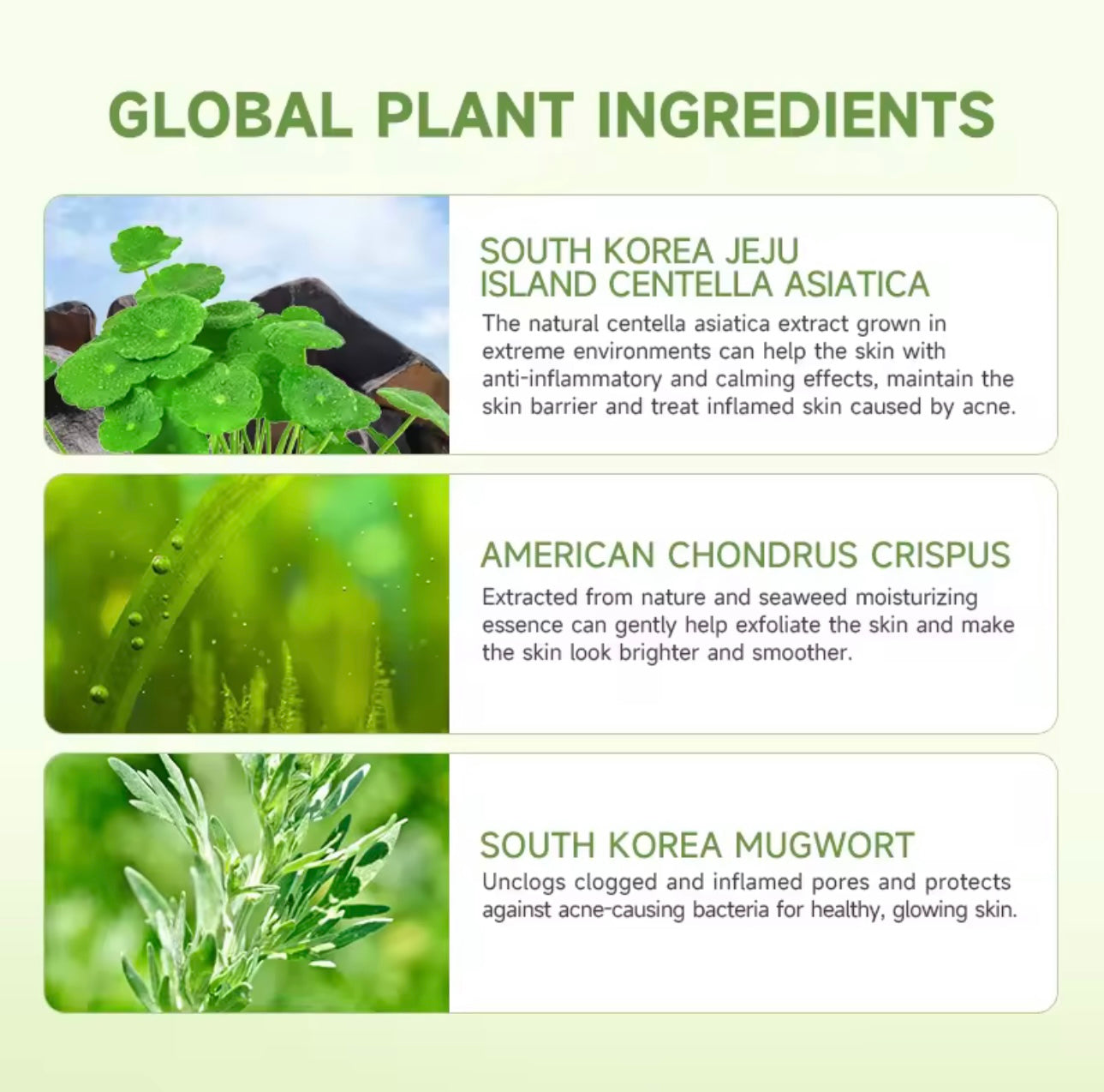 GMEELAN - Centella BHA Smoothing Gel Cleanser 80g