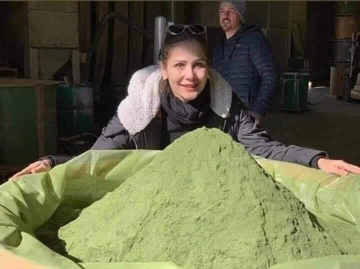 I AM - Amazing Pure Organic Barley - Powdered Drink Mix from Australia | 3g x 10 sachets - My Care Kits