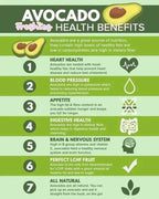 Juju Glow - Freshies Avocado Milk 10 x 21g - My Care Kits